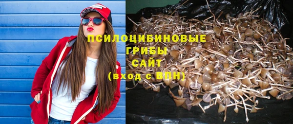 apvp Алзамай