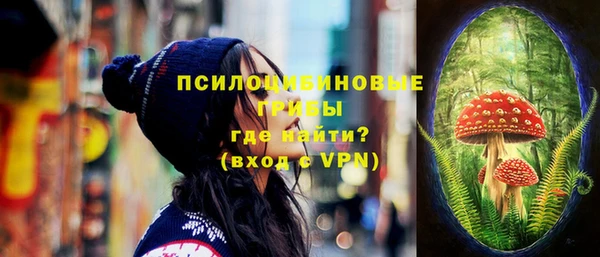 apvp Алзамай