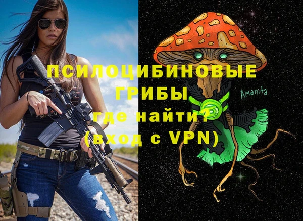 apvp Алзамай