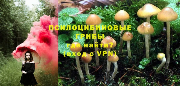 амфетамин Алексеевка
