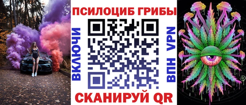 мориарти как зайти  Динская  Псилоцибиновые грибы Magic Shrooms  наркошоп 